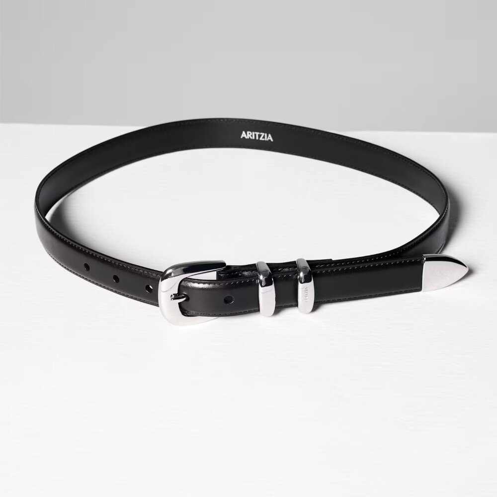ARITZIA Legendary Solid Brass Leather Belt, Large